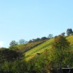 016_Weinberge_003.jpg