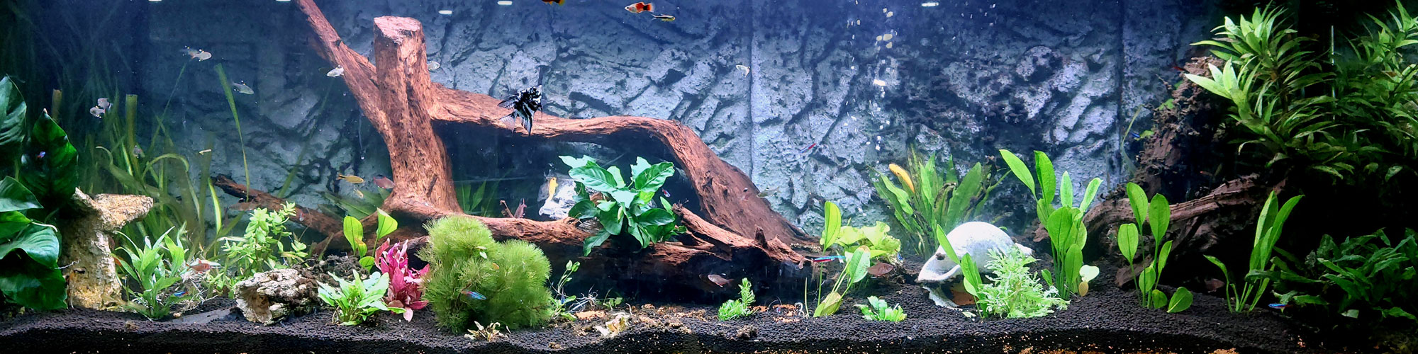 Aquarium