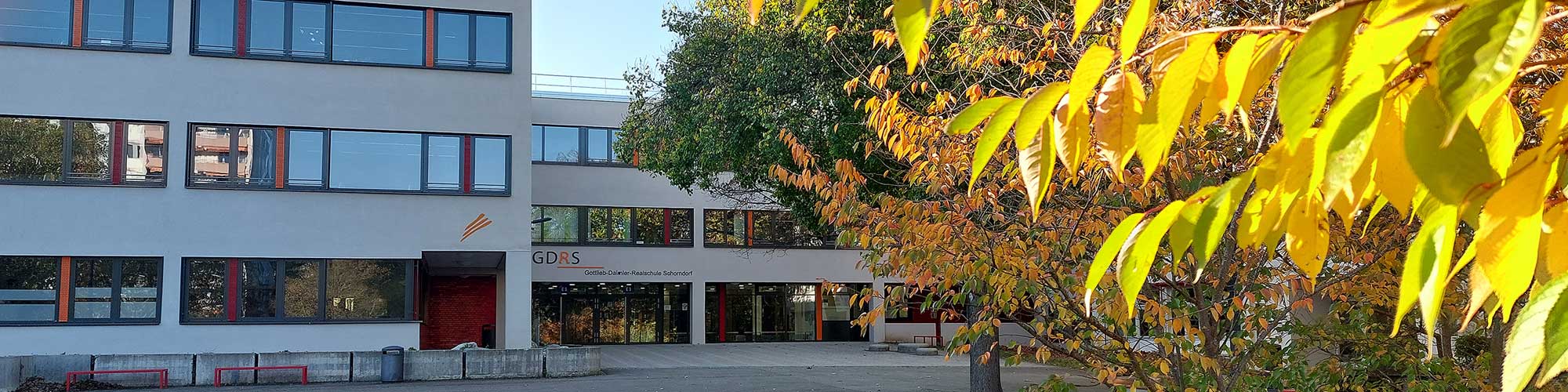 Schulhaus GDRS mit herbstlichem Baum